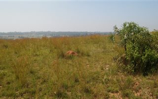2.1 ha Land available in Rietfontein
