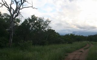 1 ha Land available in Hoedspruit