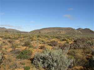 7.4 ha Farm in Touws Rivier
