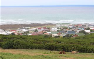 10 ha Land available in L Agulhas