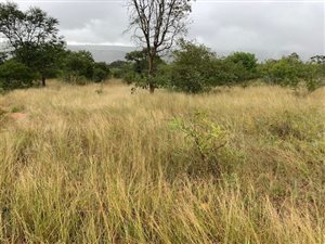 692 ha Farm in Capricorn