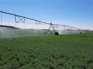 734 ha Farm in Fauresmith