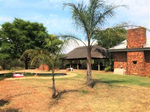11 ha Farm in Kameeldrift