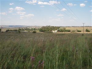 8.6 ha Land available in Knopjeslaagte