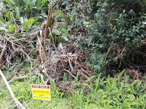 1238 m² Land available in Trafalgar