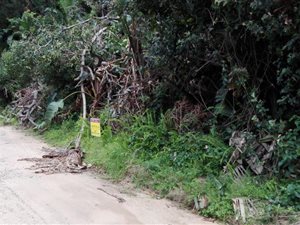 1238 m² Land available in Trafalgar