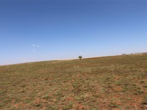 1 ha Land available in Martindale