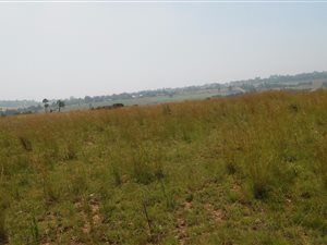 2.1 ha Land available in Muldersdrift