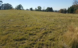 3346 m² Land available in Nottingham Road