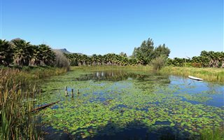1 Bedroom Garden Cottage in Northern Paarl