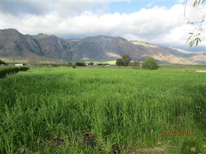 3405 m² Land available in Porterville
