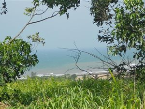 858 m² Land available in Sea Park