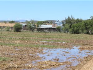 47 ha Farm in Oudtshoorn