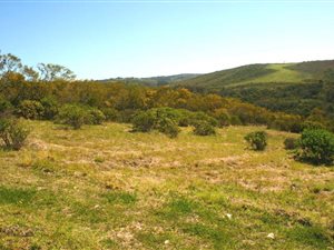 761 m² Land available in Woodlands