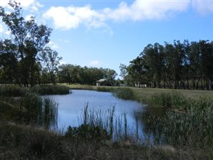 600 m² Land available in Wedgewood Golf Estate
