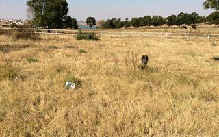 695 m² Land available in Kungwini Country Estate