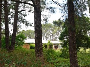 1 ha Farm in Unitas Park