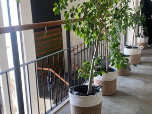 80 m² Commercial space in Carlswald Estate
