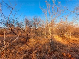 2400 m² Land available in Hoedspruit