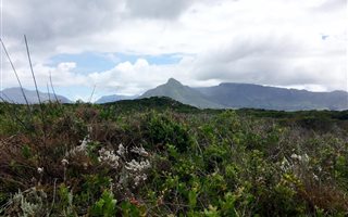 770 m² Land available in Kommetjie