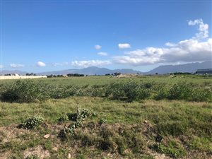 5.5 ha Land available in Philippi