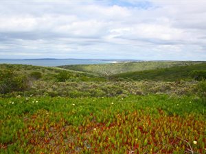 17.5 ha Smallholding in Moquini Coastal Estate