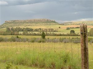 149 ha Farm in Clocolan
