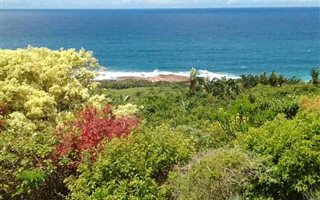 1317 m² Land available in Woodgrange on Sea