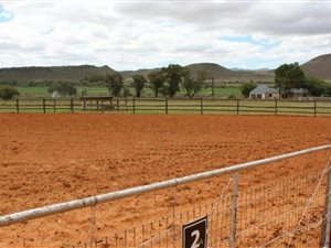 533 ha Farm in Middelburg
