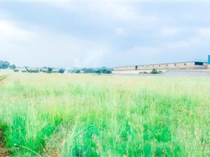 8572 m² Land available in De Deur