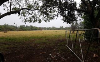 Farm in Alphen Park