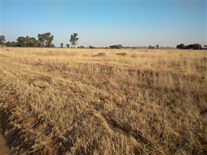 2.1 ha Land available in Sherman Park AH