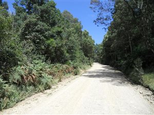 6 ha Farm in Wilderness