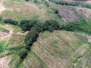 1222 m² Land available in Sheffield Beach