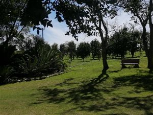 17 ha Farm in Thornhill