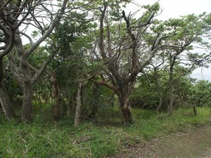 1710 m² Land available in Bazley Beach