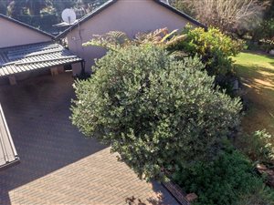 3 Bed House in Farrarmere