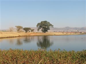 433 ha Farm in Winterton