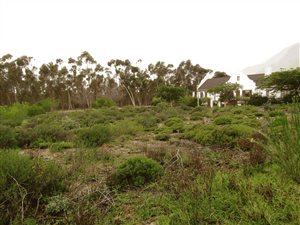 1084 m² Land available in Montagu