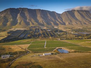 60 ha Farm in Hemel en Aarde Valley