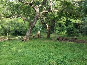 1630 m² Land available in Umzumbe