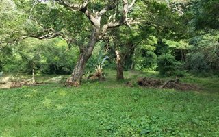 1630 m² Land available in Umzumbe