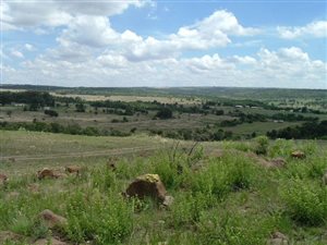 19 ha Farm in Faerie Glen