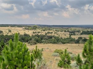 19 ha Farm in Faerie Glen