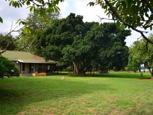 1.6 ha Farm in White River Central