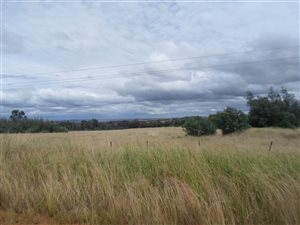 554 ha Farm in Witbank