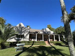 160 ha Farm in Greytown