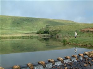 1 ha Land available in Dullstroom
