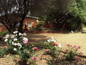 1 Bedroom Garden Cottage in North Riding