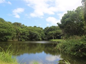 4 ha Farm in Marburg